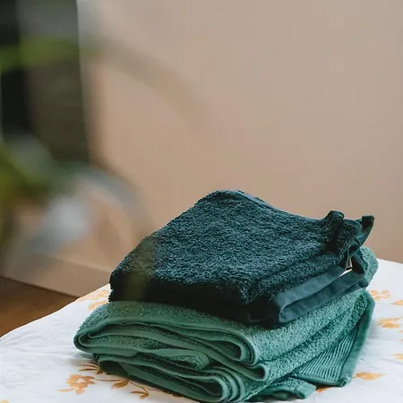 Bloom Living - T1 Standing - Hyper Centre 公寓 圖盧茲