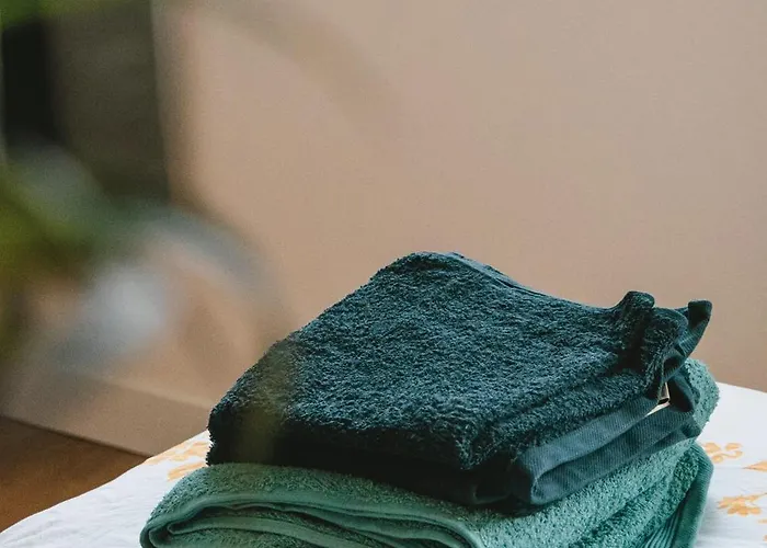 Bloom Living - T1 Standing - Hyper Centre 아파트 툴루즈