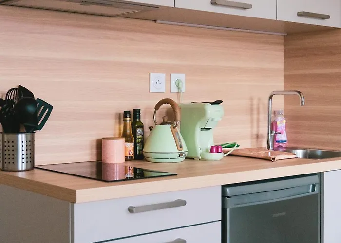 Bloom Living - T1 Standing - Hyper Centre 툴루즈