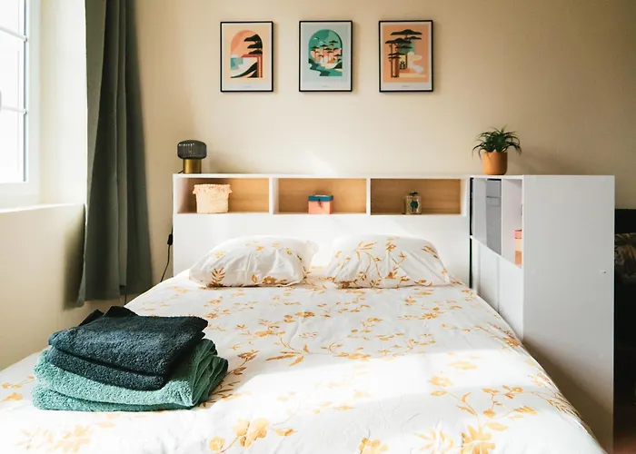 Bloom Living - T1 Standing - Hyper Centre 툴루즈